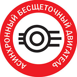 Асинхронный бесщеточный двигатель
