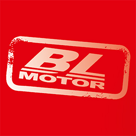 BL мотор