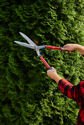 Ножницы   садовые GS06 - фото 8