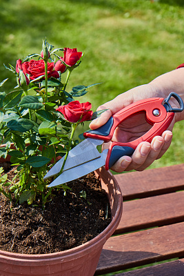 Ножницы для цветов GS01 - фото 10