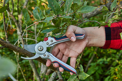 Секатор плоскостной пружинный металлический PB 04 - фото 10