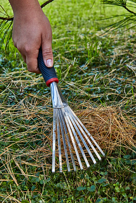 Грабли веерные GTS06 - фото 9