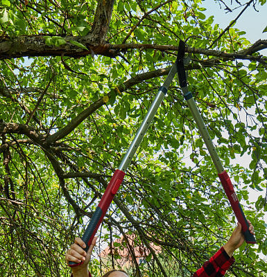 Сучкорез  плоскостной телескопический GCT16 - фото 2