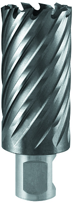 Фреза по металлу 20х55мм Weldon 19мм TCT 1110.009800 - фото 1