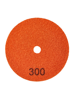 Алмазный круг 100мм P300 сухое шлифование 1820.160400 - фото 2