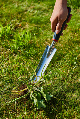 Корнеудалитель GTS02 - фото 6