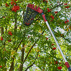 Легкая и прочная алюминиевая телескопическая штанга длиной 124-215 см позволяет снимать плоды с высоты до 3,5 метров.