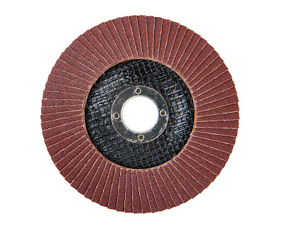 Диск лепестковый 125мм, P100 1820.174800 - фото 2