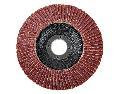 Диск лепестковый 125мм, P40 1820.174500 - фото 3