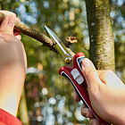 Микро лезвия позволяют легко перемещаться между растениями, чтобы "обрезать" только необходимую область или часть, не повреждая другие жизненно важные стебли и ветви.