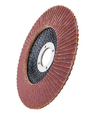 Диск лепестковый 125мм, P120 1820.174900 - фото 8